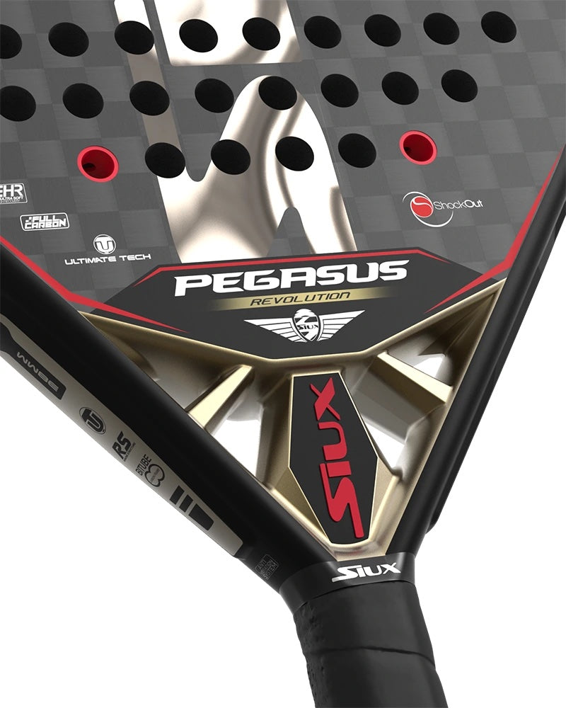 Siux Pegasus Revolution 12K 2023